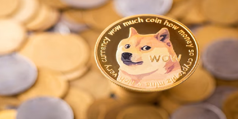 Concerns About Dogecoin-01
