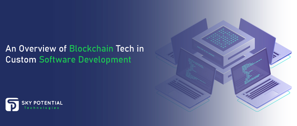 An-Overview-of-Blockchain-Tech-in-Custom-Software-Developm-01.jpg